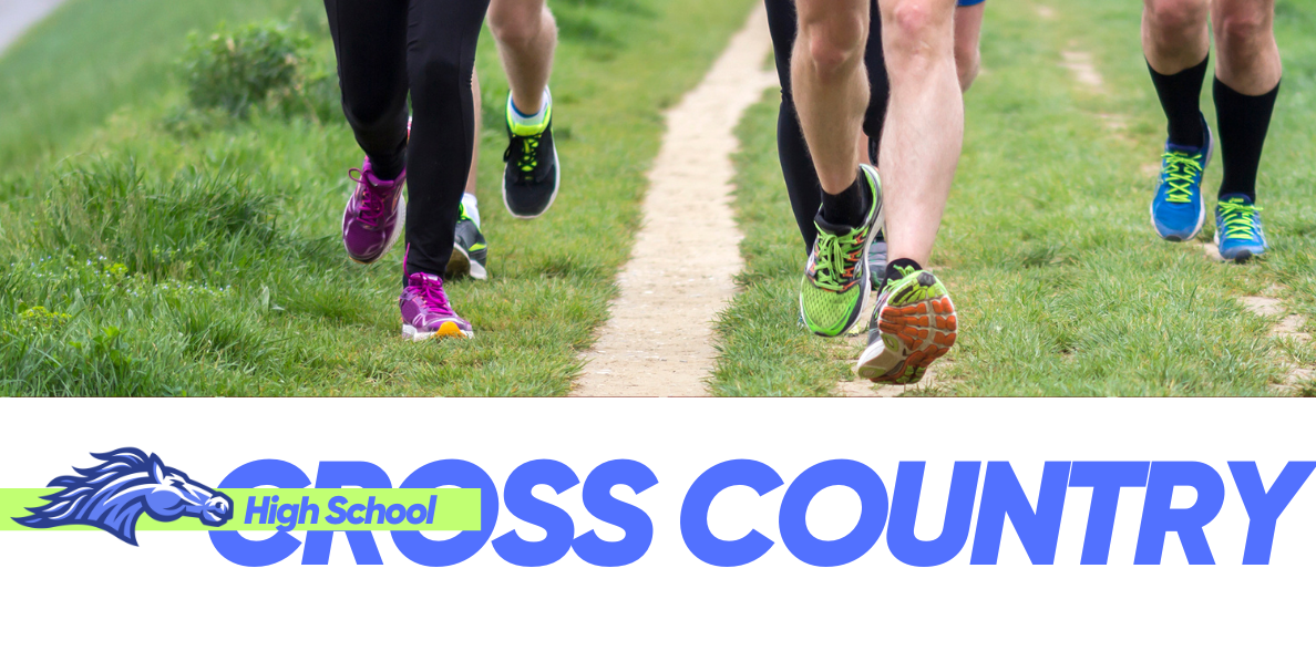 cross country runners